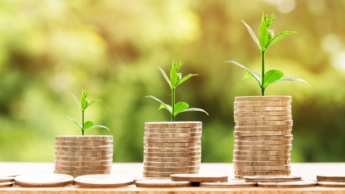 Renda Fixa Hoje: confira as taxas de CDBs, LCIs e LCAs na XP nesta quinta-feira (8)