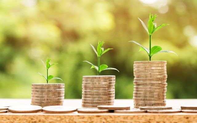 Renda Fixa Hoje: confira as taxas de CDBs, LCIs e LCAs na XP nesta quinta-feira (8)