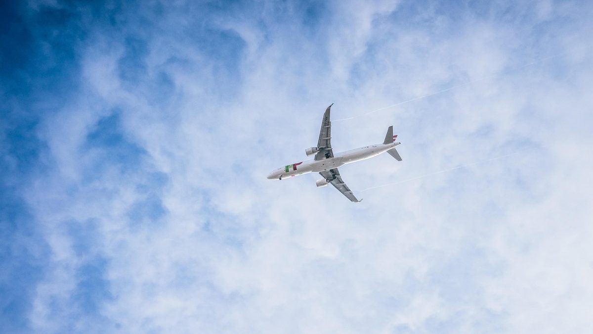 Ibovespa salta quase 9% e tem maior ganho semanal desde 2020; Magazine Luiza (MGLU3) e Embraer (EMBR3) são os destaques
