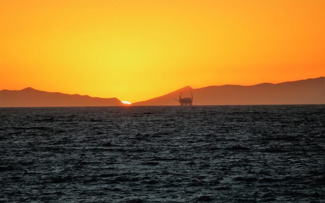 Ibovespa Hoje Ao Vivo: Bolsa sobe com PETR4 e volta aos 205 mil pontos