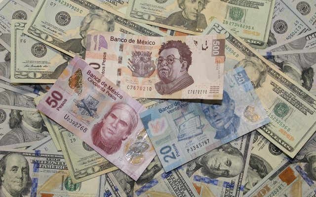 Investidores avaliam debate e pesquisas eleitorais com início da temporada de balanços; Ibovespa em dólar sobe nesta segunda-feira (19)