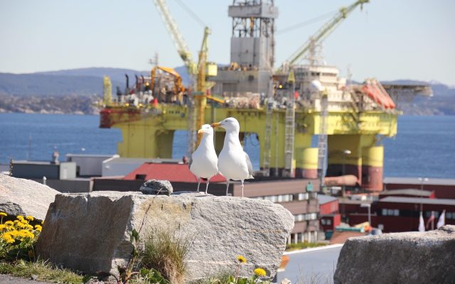 Petrobras (PETR4) avalia como positivo adiamento de audiência sobre Gas Release